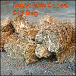 Hay Cubes _ Oat_Alfalfa  _ 50 pound bag